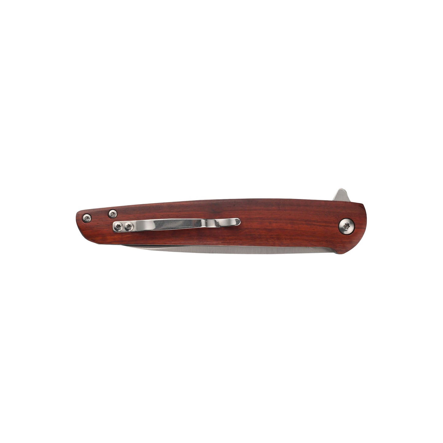 Folding EDC and hunting knife Oedipus from Mavik Gear with 5Cr13 steel drop point blade, Pear wood handle, and pocket clip.